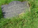 image of grave number 316941